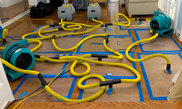 Professional Sewage Cleanup technician working in Sturtevant, WI